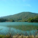 Real Estate Insert from gform