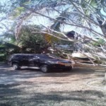 14140 - 6 bdr Villa for sale in Chiang Mai - San Sai