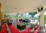 Villa + 4 bungalows à vendre - 7 chambres - Lamai - Koh Samui4
